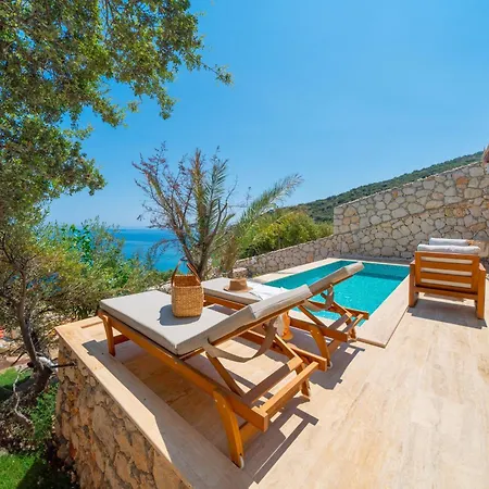 Kalamar 5 Kaş